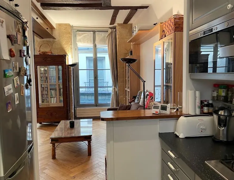 Beautiful Flat Seine River-Saint Michel/Notre-Dame Paris Apartment